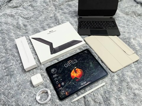 IPad Pro 11’ (2 gen) 256 gb, wi-fi + чехол, шикарное состояние! А2228