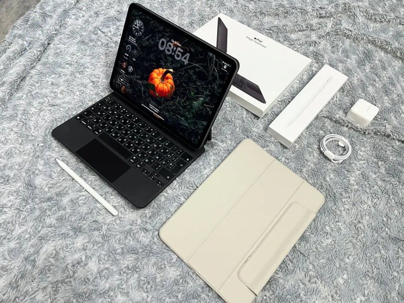 IPad Pro 11’ (2 gen) 256 gb, wi-fi + чехол, шикарное состояние! А2228 — фото 3