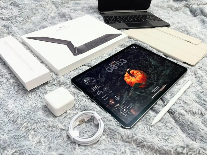 IPad Pro 11’ (2 gen) 256 gb, wi-fi + чехол, шикарное состояние! А2228 — фото 5