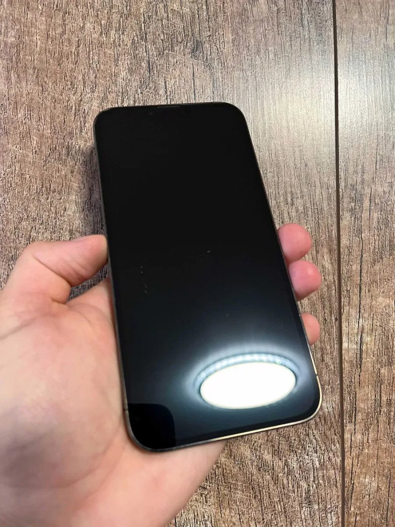 iPhone 13 Pro Max 256GB Graphite Neverlock — фото 3