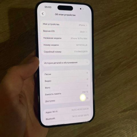 iPhone 16 Pro Max під R-Sim