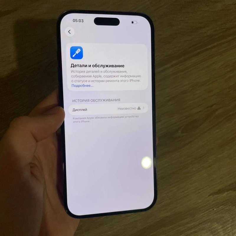 iPhone 16 Pro Max під R-Sim — фото 2