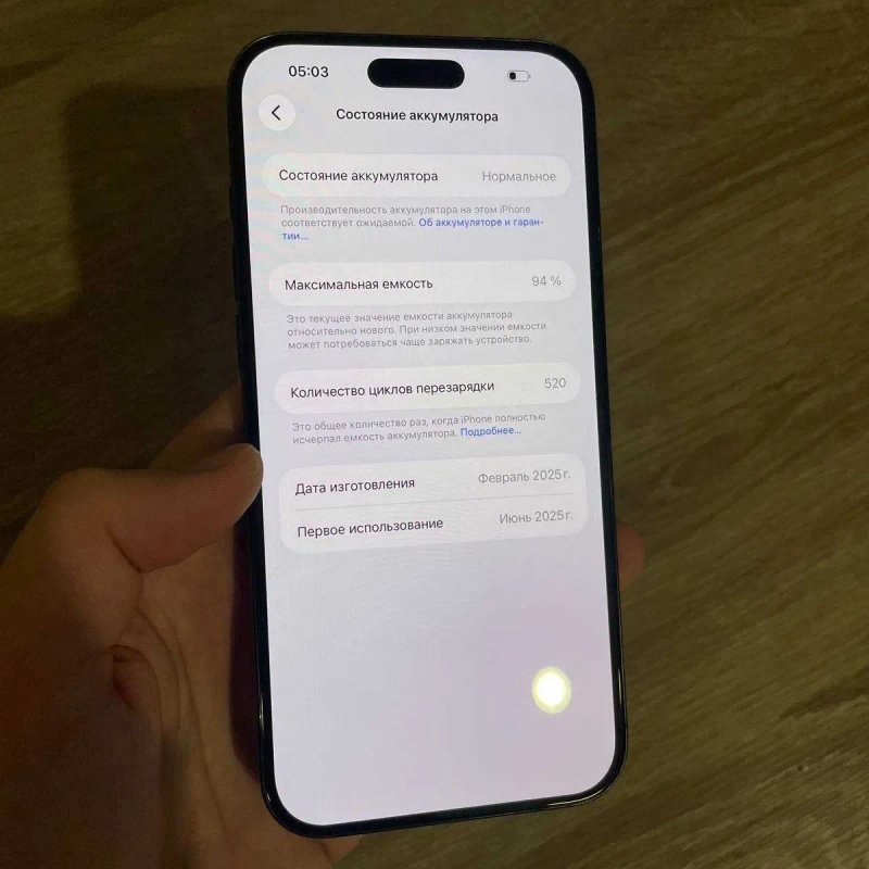 iPhone 16 Pro Max під R-Sim — фото 3