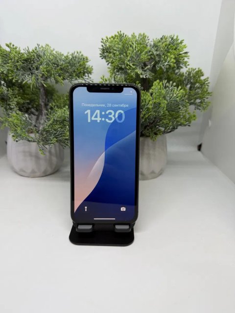iPhone Xs 256GB Space Grey (айфон Хс 256ГБ сірий)