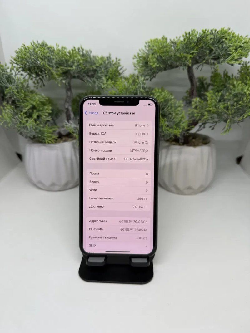 iPhone Xs Space Gray 256GB (айфон Хс 256ГБ сірий) — фото 3