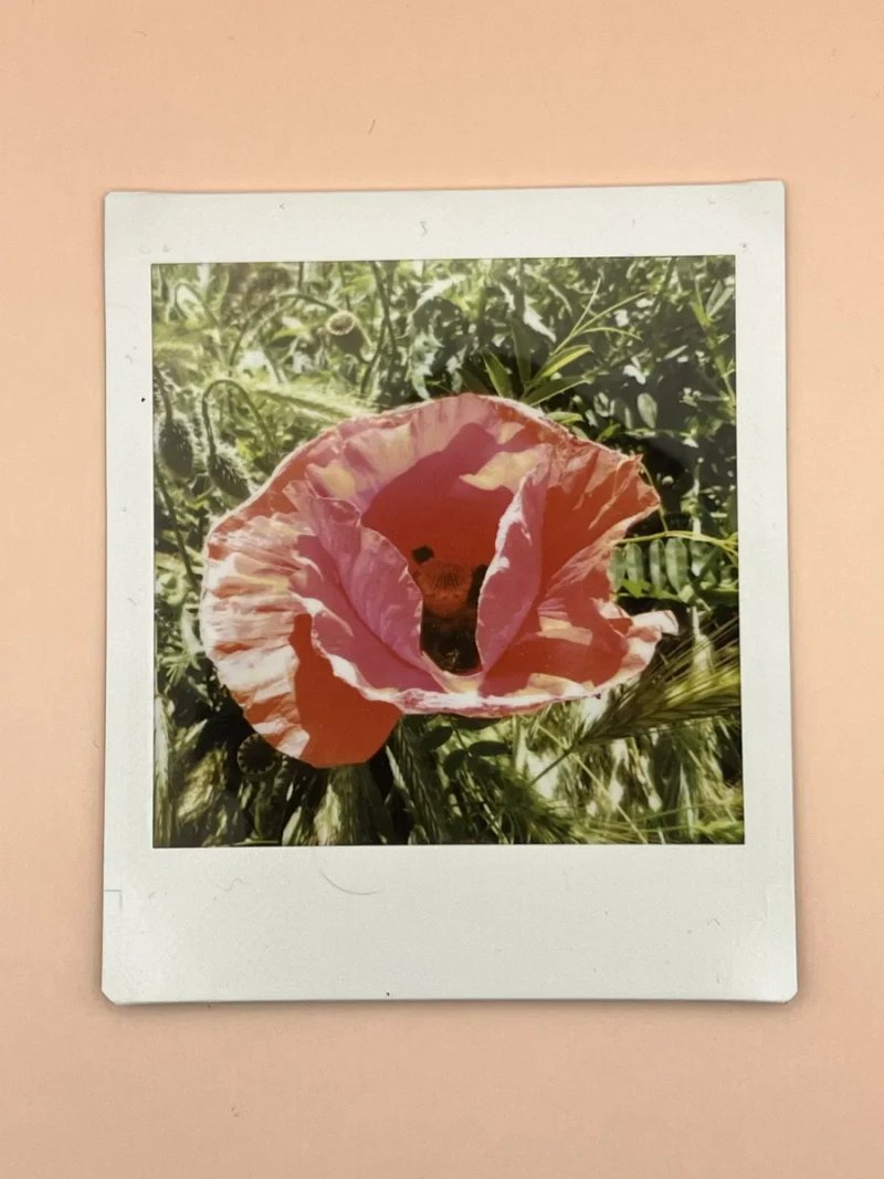 Камера Fujifim Instax  SQ20 — фото 5