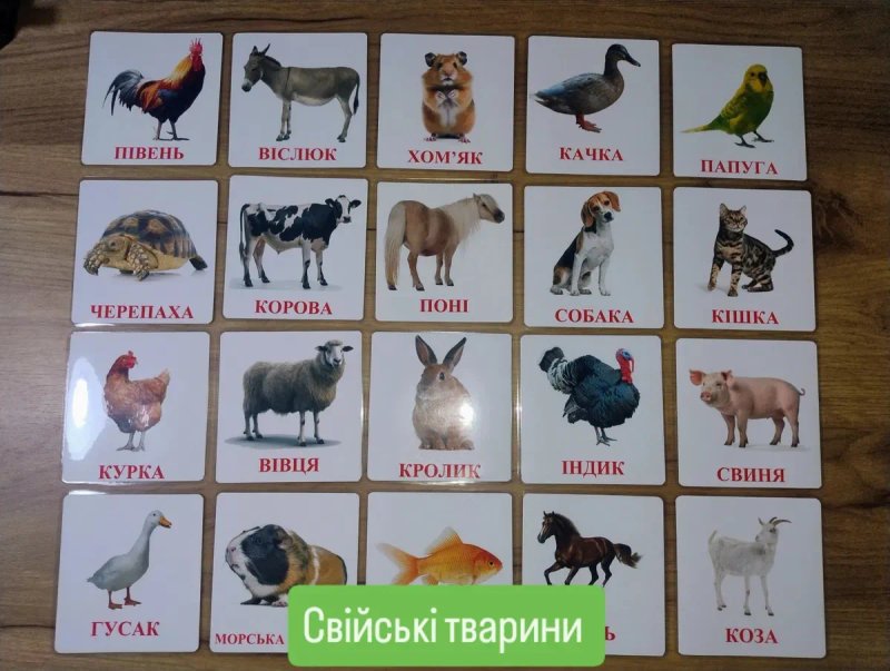 Картки Домана, карточки домана, ламіновані розвиваючі картки від 45 гр — фото 2