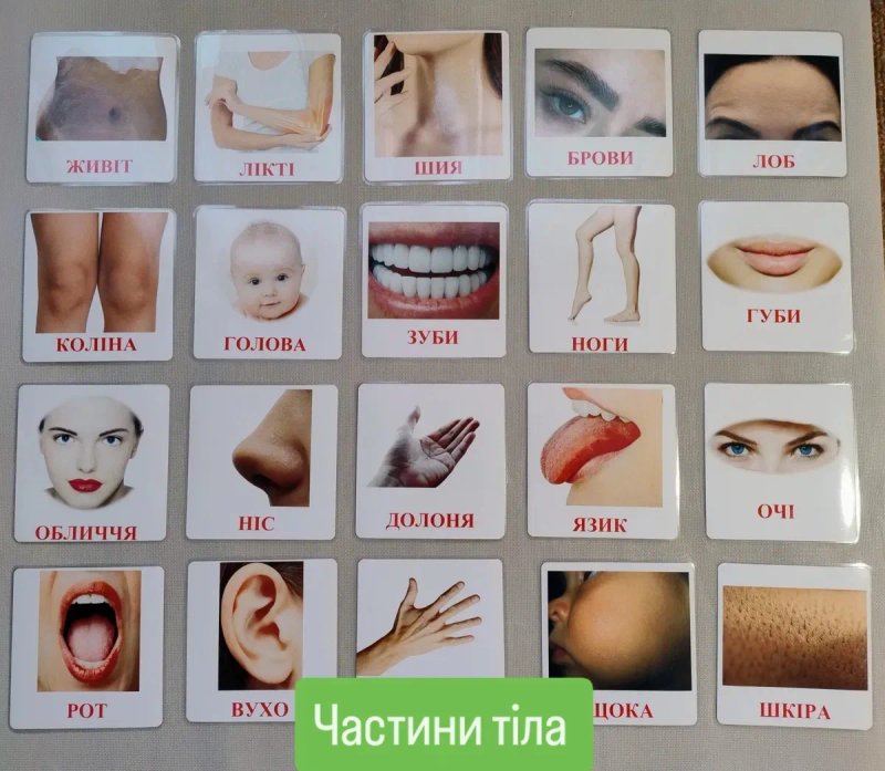 Картки Домана, карточки домана, ламіновані розвиваючі картки від 45 гр — фото 6