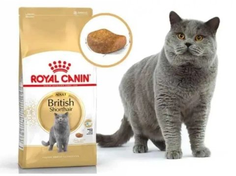13 кг Роял Канін для Британців Royal Canin British Adult по 350 грн/кг