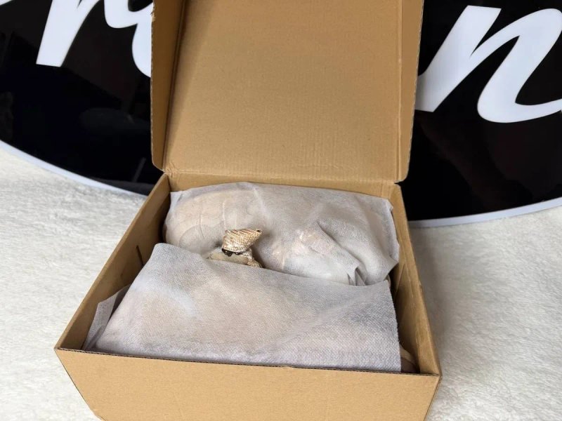 ‼️ХІТ СЕЗОНУ‼️ Кросівки Ugg Lowmel / кроси угг угі уг жіночі. — фото 8