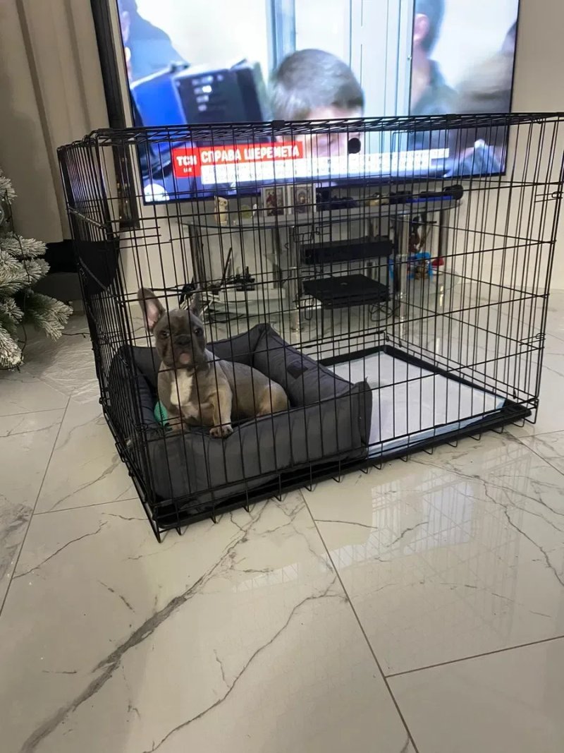 Клетка, клітка для собак, транспортний бокс, переноска — фото 6