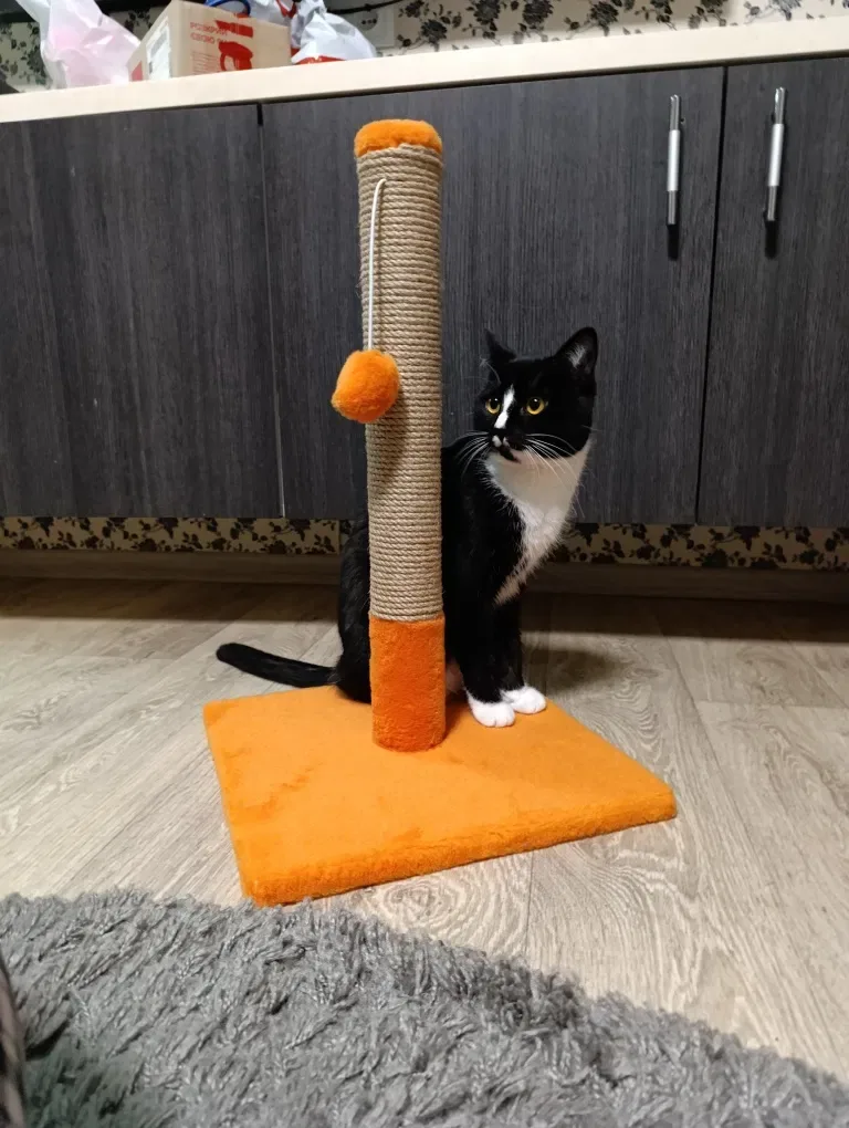 Когтеточка для кота. Дряпка, царапка — фото 7