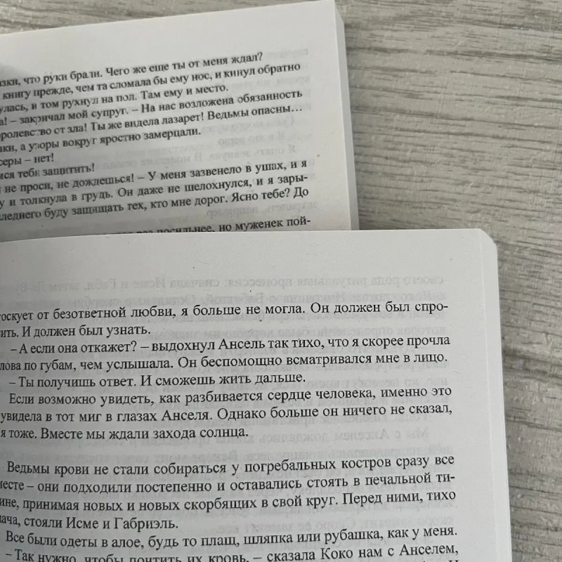 Комплект книг Шелби Махерина Змей и голубка/ Кровь и мед — фото 2