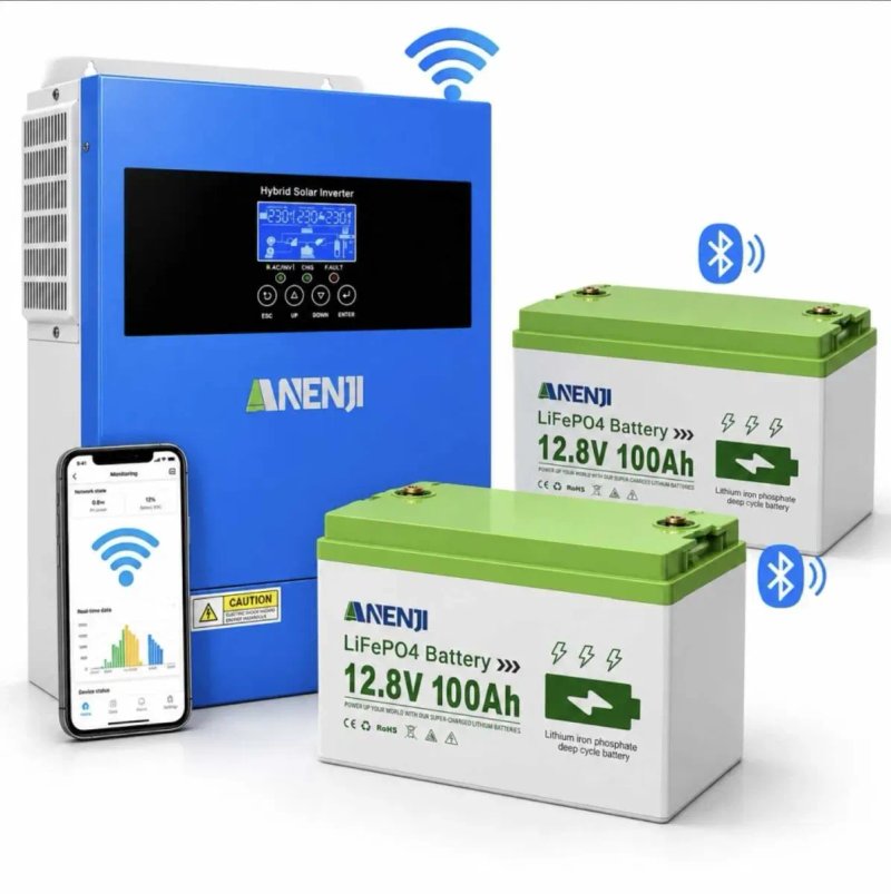 Комплект резервного питания Anenji 4,2 кВт + 2 LiFePO4 100Ah, гибридный инвертор Wi-Fi, АКБ Bluetooth УСТАНОВКА — фото 2