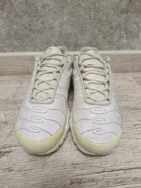 Кросівки чоловічі Nike Air Max Plus White Aj2029-100