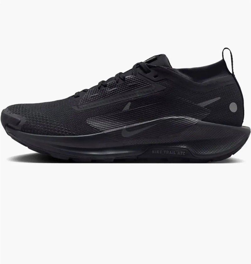 Кросівки чоловічі Nike Pegasus Trail 5 Gore-Tex FQ0908-002 — фото 2