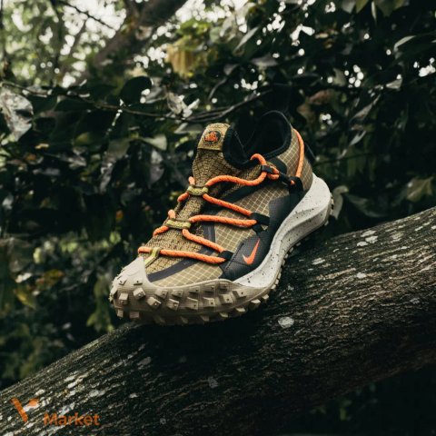 Кросівки Nike ACG Mountain Fly Low Sneaker Olive