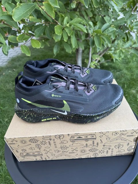Кросівки Nike Pegasus Trail 5 Gore-Tex 44.5(28.5см) Оригінал FQ0908-014