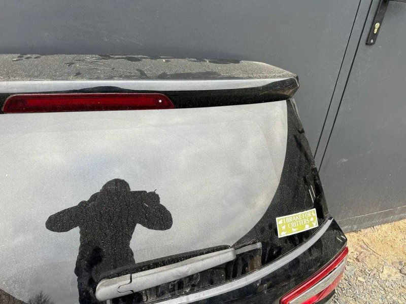 Крышка багажника Комплектная FORD Ecosport (18-22) GN1Z-7440010-M — фото 6