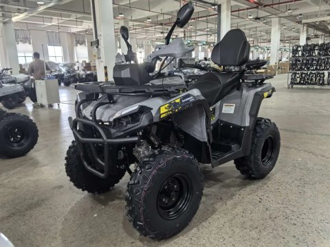 Квадроцикл Mikilon Hammer 250 L Pro
