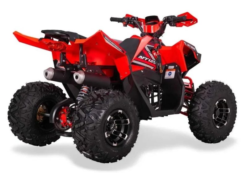 Квадроцикл Sport Energy AFF125 Артмото Кременчук Київська 66 — фото 7