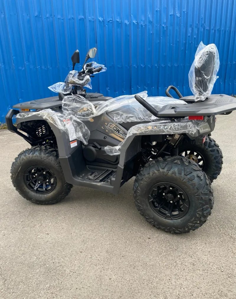 Квадроцикл TERRAX 250 — фото 2
