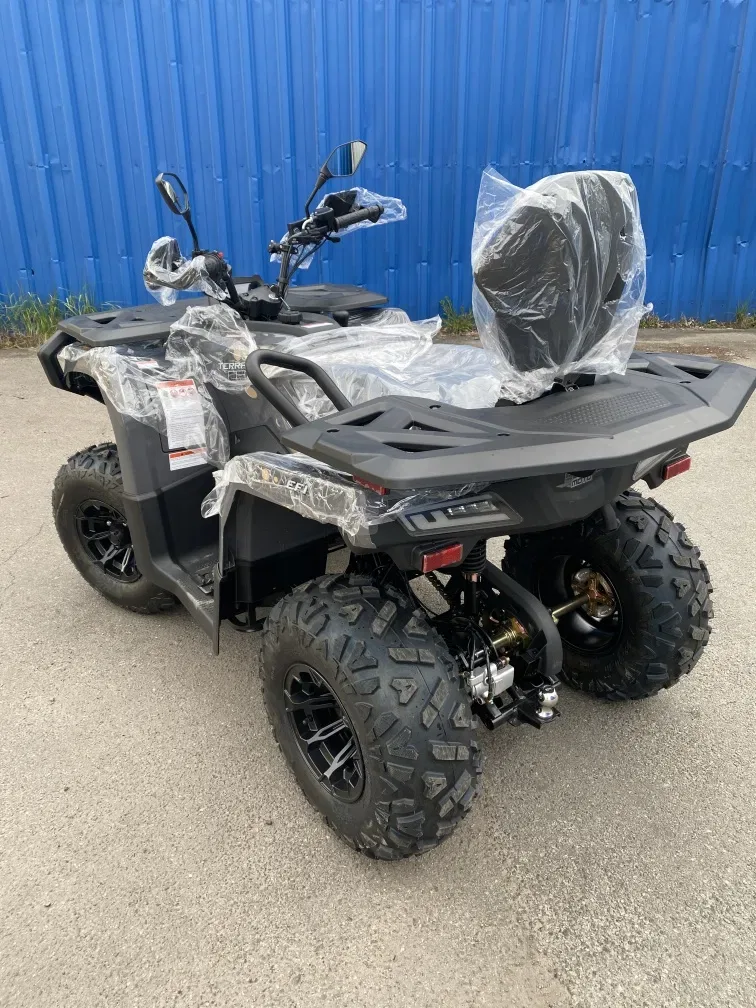 Квадроцикл TERRAX 250 — фото 5
