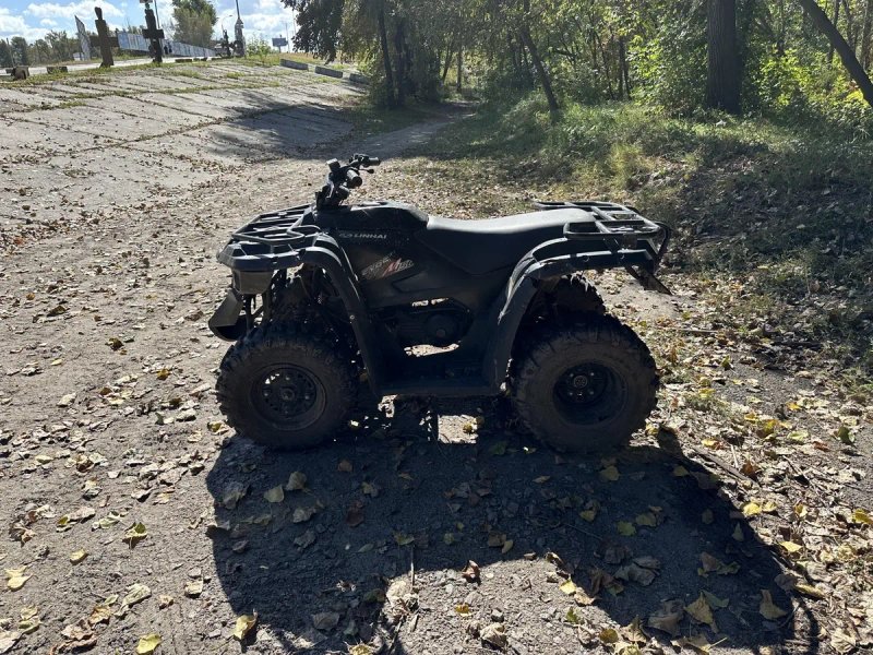 Linhai m 150 / квадроцикл — фото 3