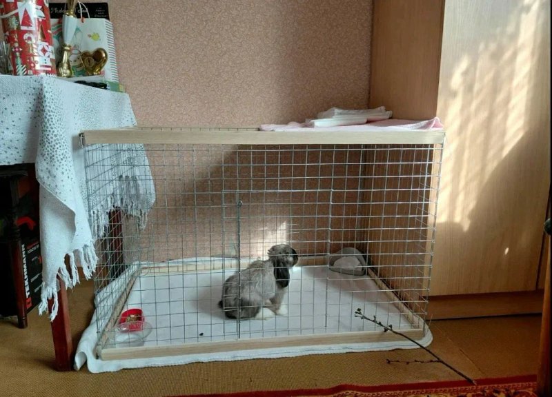 Манеж, Клетка, Вольер для собак, щенков, котят, кошек, кроликов — фото 4