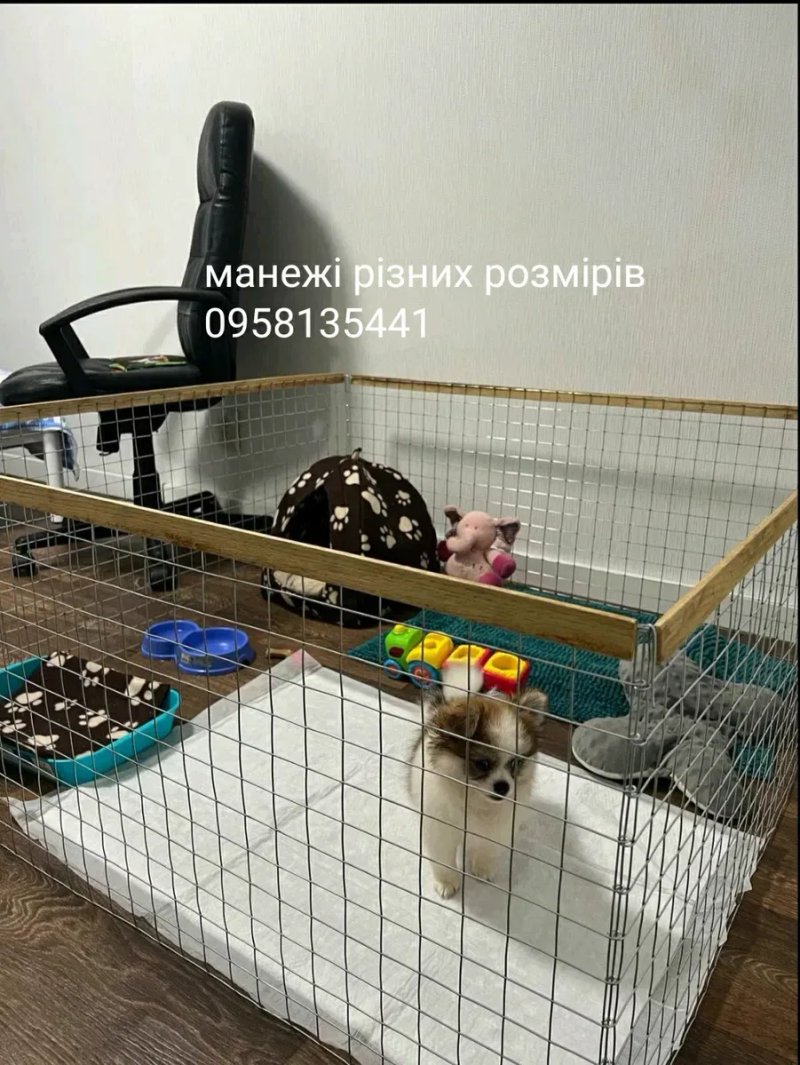 Манеж, Клетка, Вольер для собак, щенков, котят, кошек, кроликов — фото 5