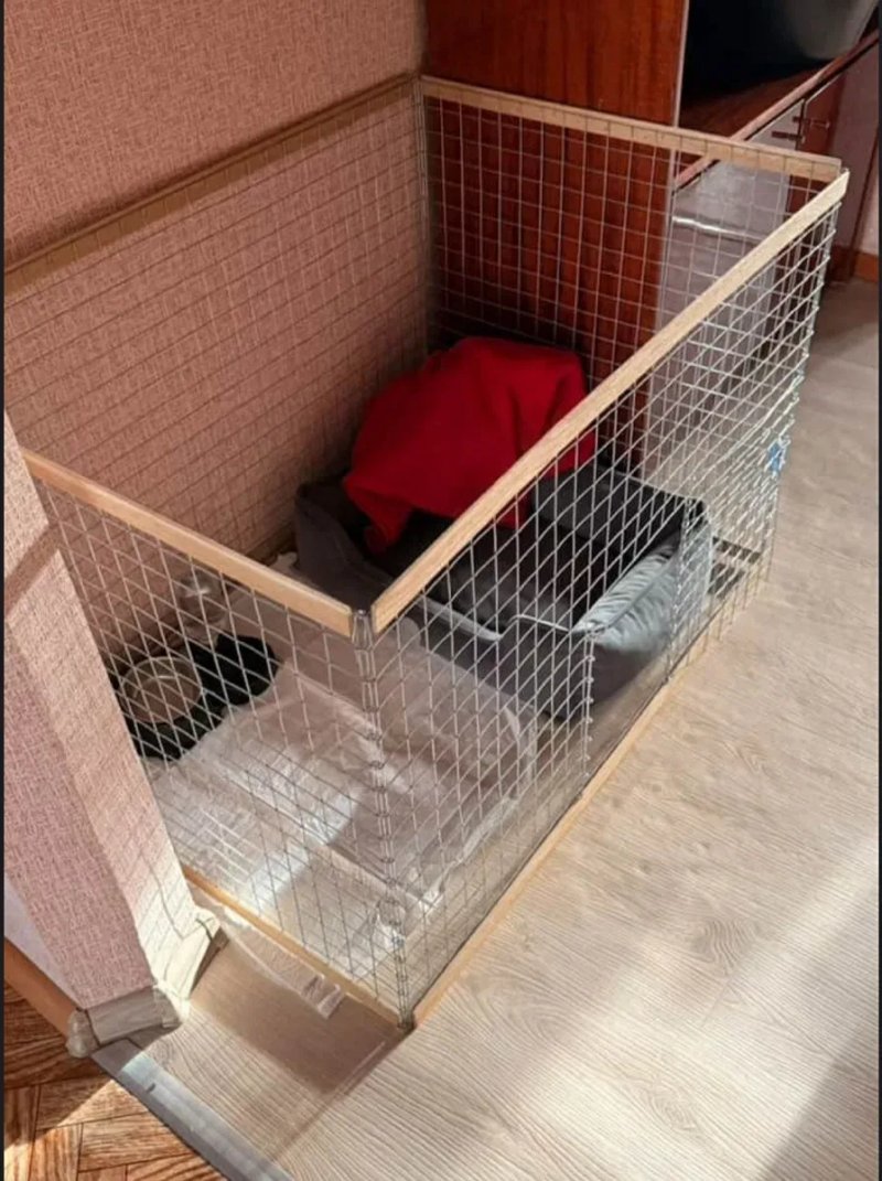 Манеж, Вольер, Клетка, Клітка для собак, котів, кошек, кроликов. — фото 8