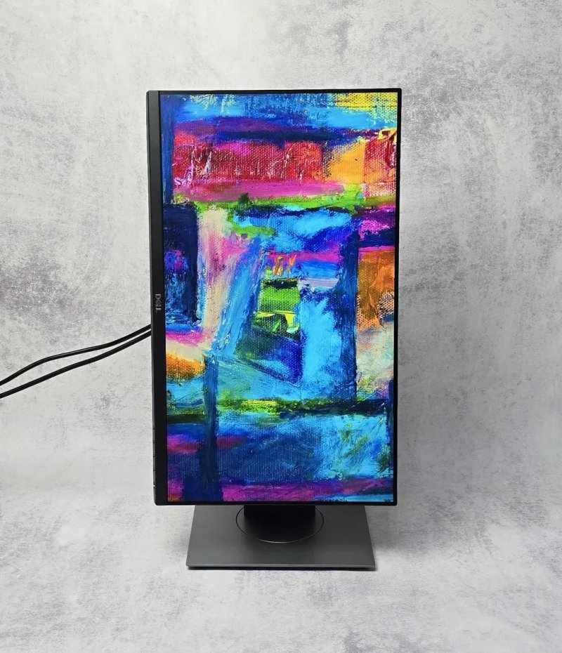 Монітор безрамковий 24" Dell Professional P2421 1920х1200 (16:10) IPS WLED 8bit sRGB 99% + Гарантія 12 місяців — фото 2
