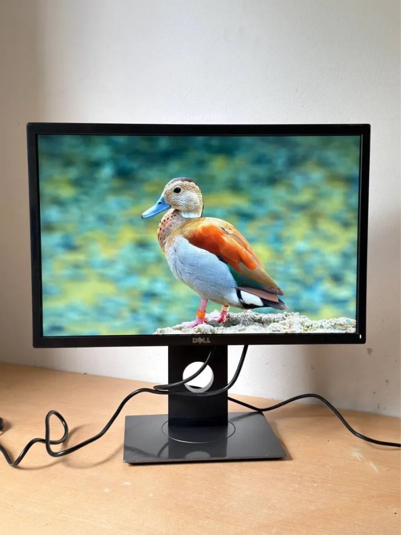 Монітор Dell 22″ — 2 шт. у наявності — фото 4