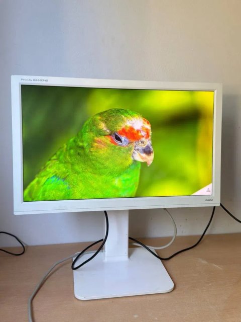 Монітор iiyama ProLite 24″ / Full HD / HDMI / DVI / VGA / колонки