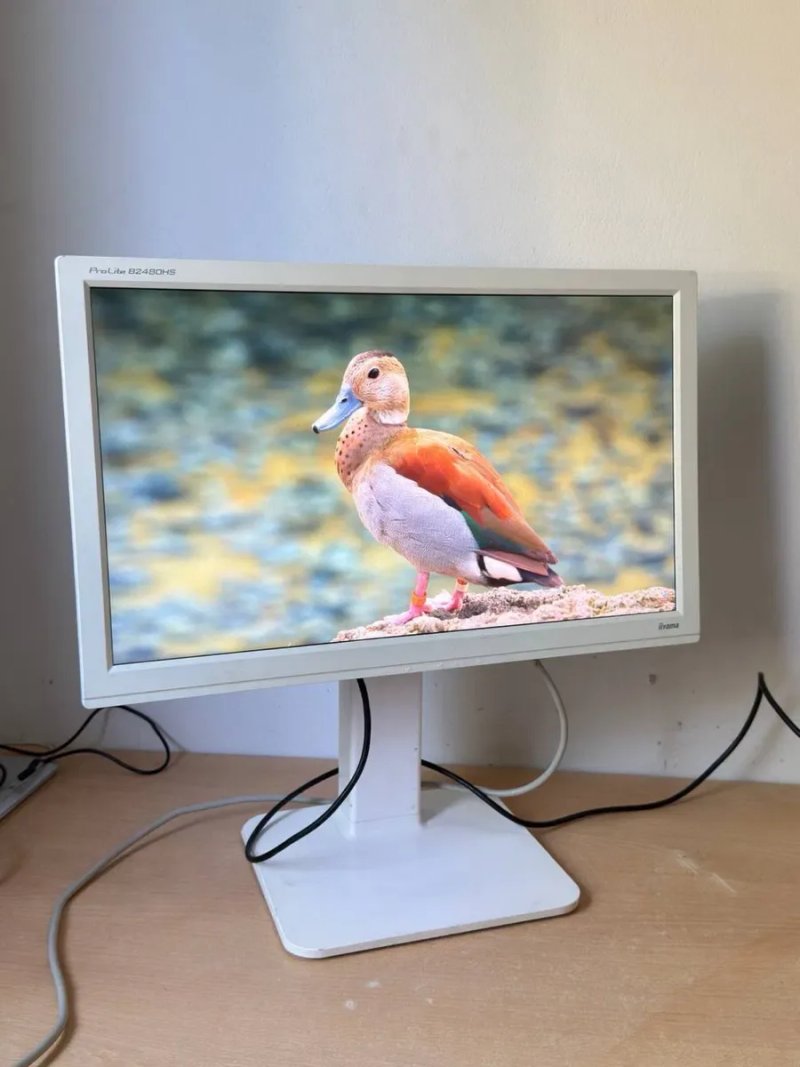 Монітор iiyama ProLite 24″ / Full HD / HDMI / DVI / VGA / колонки — фото 7