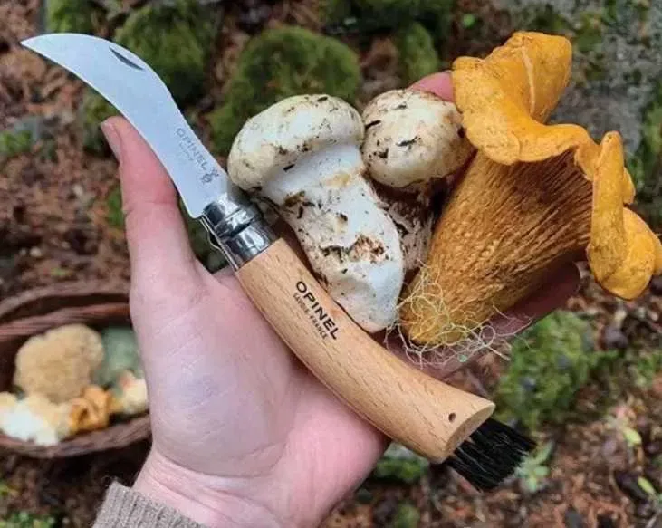 НІЖ OPINEL 8 грибний садовий нож подарункова упаковка футляр — фото 3