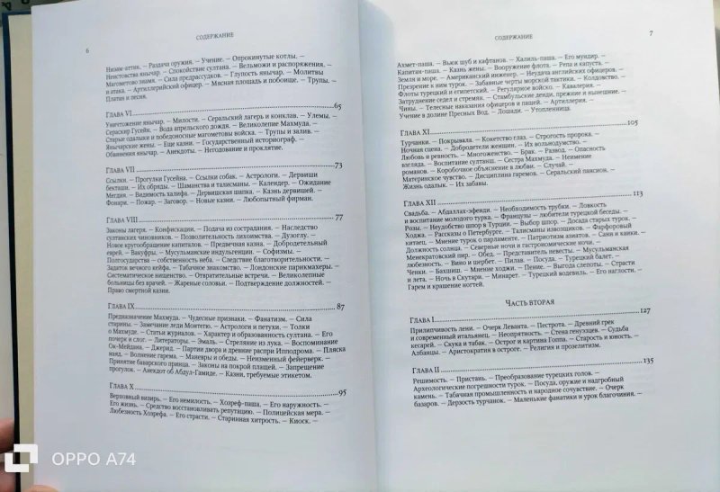 Очерки Константинополя. Босфор и новые очерки Константинополя. К.Базили. 2012. — фото 3