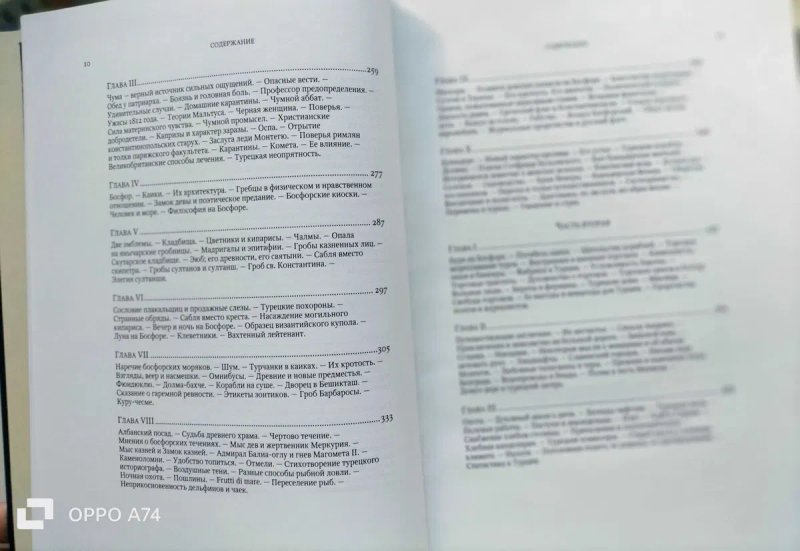 Очерки Константинополя. Босфор и новые очерки Константинополя. К.Базили. 2012. — фото 5