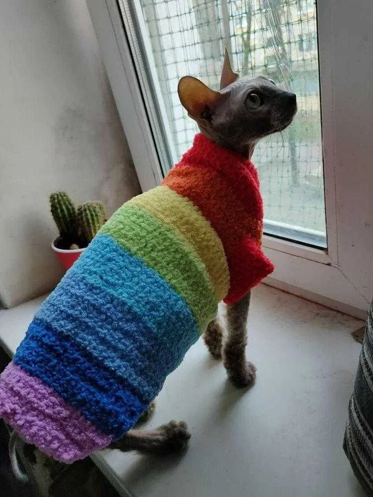 Одежда для кошек, котов, котят и собак. Вязаная одежда для сфинксов — фото 4