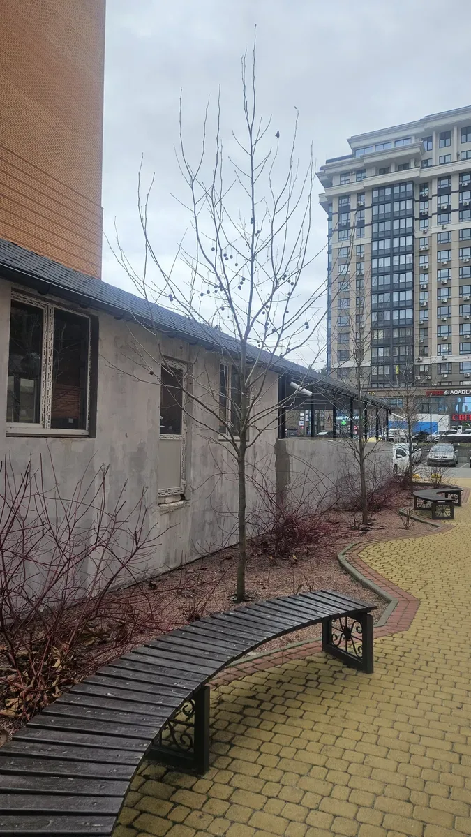 Оренда(ПРОДАЖ 45000$)комерційного приміщення! — фото 3