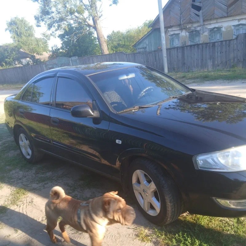 Продаю автомобіль nissan — фото 3