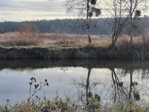 Продаж земельної ділянки Київській обл.м.Ірпінь.