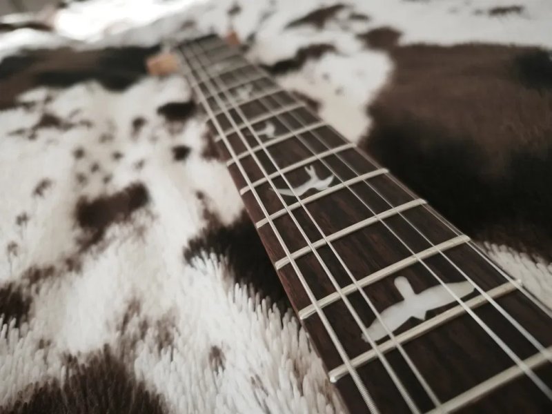 PRS SE Custom 24-08 Turquiose — фото 7