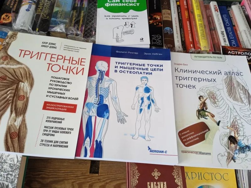 Рэй Лонг Анатомия АСАН, раскрывающих бедра и наклоны вперёд.Не цветная — фото 8