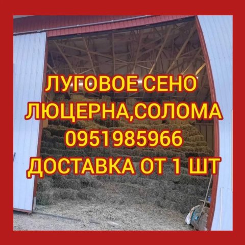 ‼️Сено  ДОСТАВКА от 1 шт сіно в тюках мешках (фацелии и др). Для КРС, лошадей, коз, овец‼️