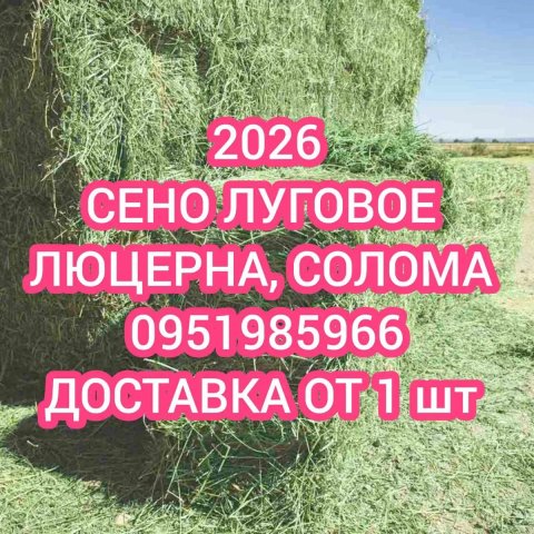 ‼️СІНО с доставкой от 1 шт в тюках, сено в тюках мешках (проса и др виды).