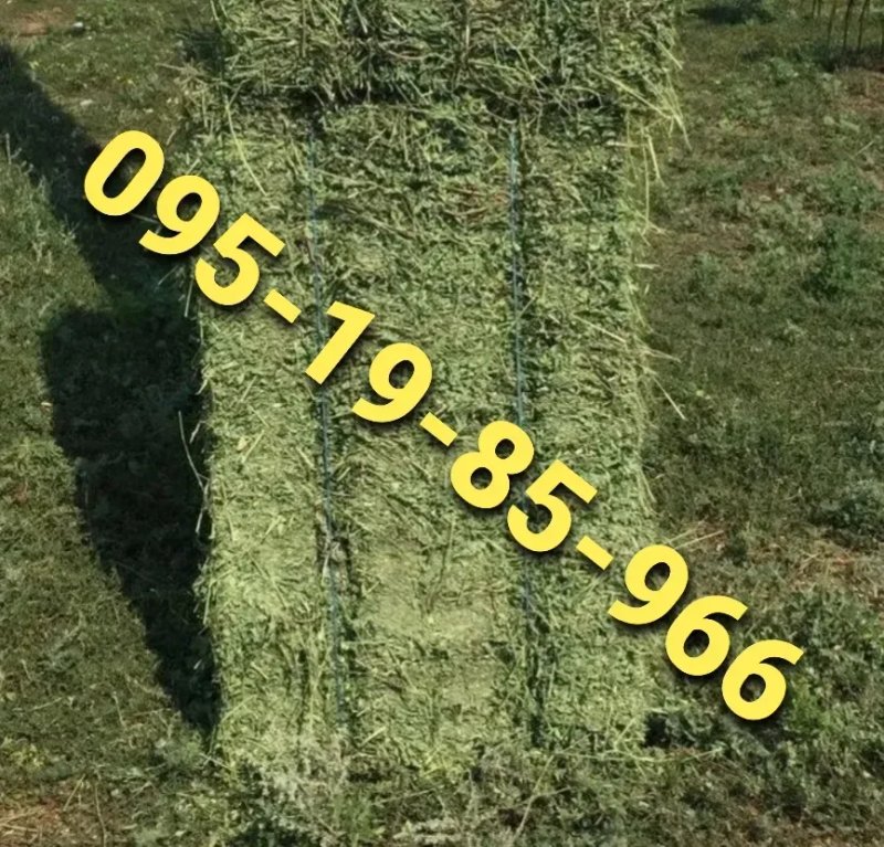 ‼️СЕНО С ДОСТАВКОЙ от 1 шт  в тюках мешках, сіно горное. Большие объёмы‼️ — фото 4