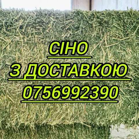 Сено в тюках с доставкой, сіно солома в тюках разнотравье