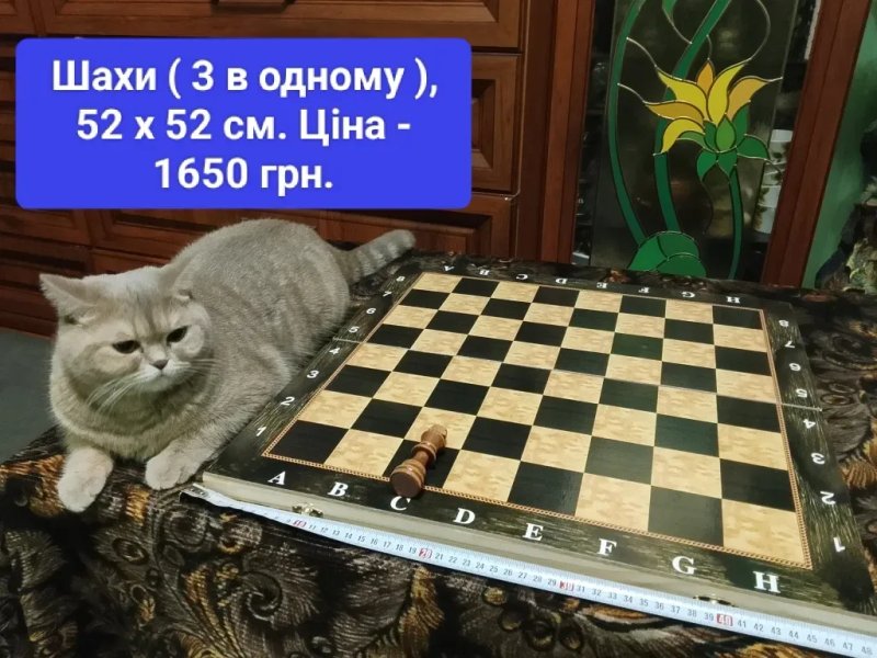 Шахи - розмір 52 × 52 , 40 х 40 - три в одному і окремо. Нарди. Доміно. Дерево. Нове. — фото 2