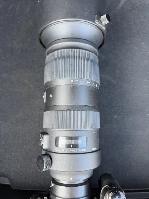Sigma 60-600mm телефотообєктив